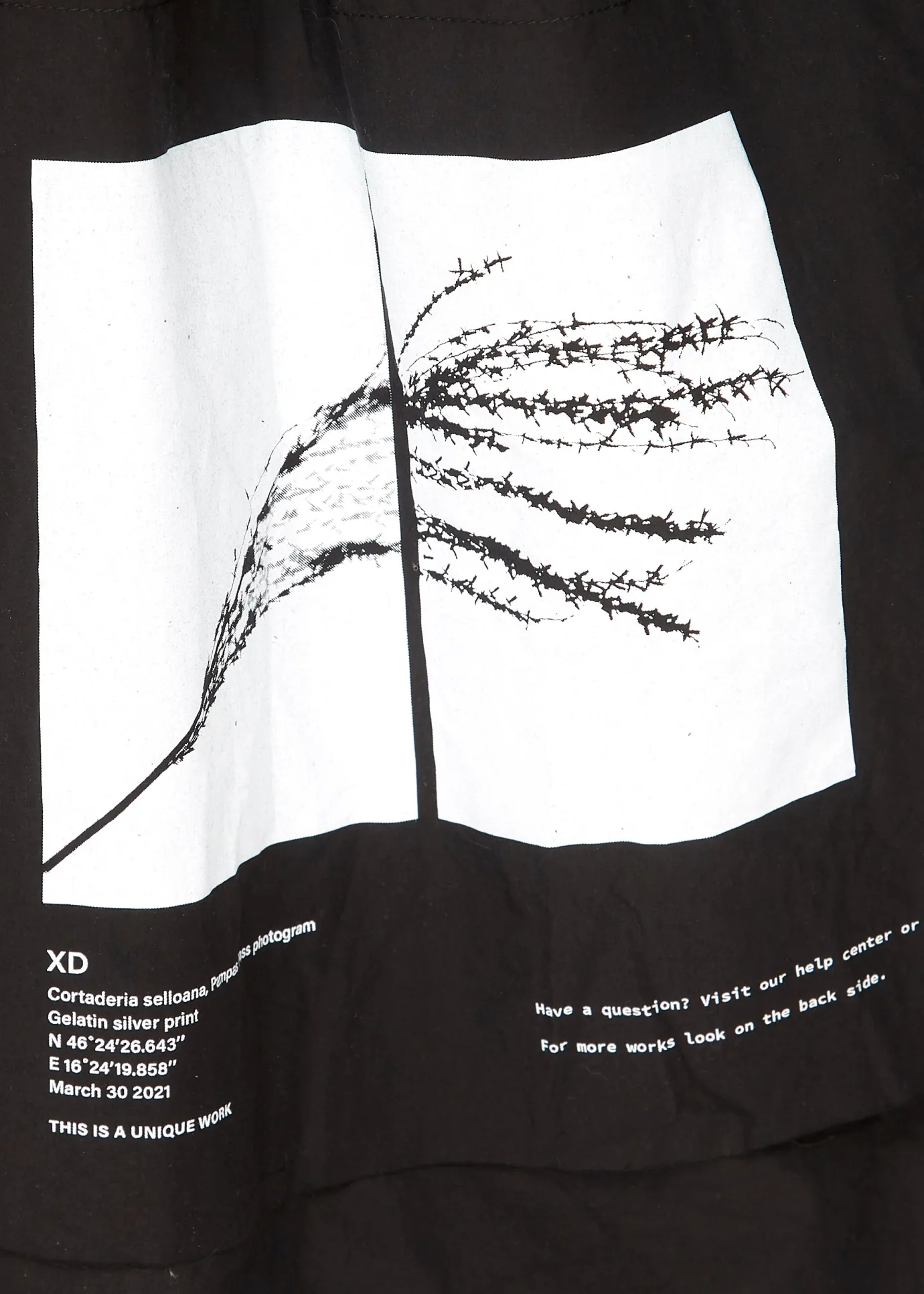 XD Fashion Colo Tiered Dress Black